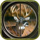 Deer hunter sniper 3D
