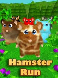 Hamster Dash: 3D Run Screen Shot 0