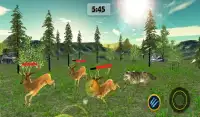 Angry Wolf Jungle 3D Screen Shot 16