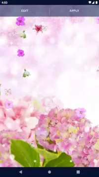 Spring Flower Live Wallpaper Screen Shot 3