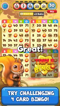 Bingo:  Free the Pets Screen Shot 2