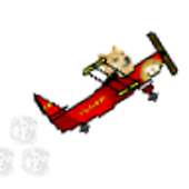 Dogecoin Air