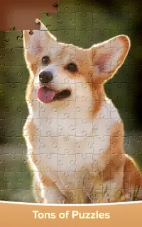 Jigsaw Puzzles - Puzzle Game Screen Shot 1