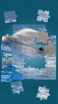 Dolphins Jigsaw Puzzle Screen Shot 3
