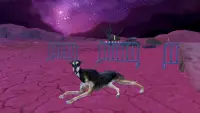 Simulator Anjing Greyhound Screen Shot 4