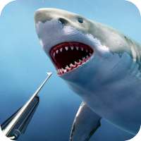 Spearfishing Vahşi Köpekbalığı Avcısı - Balık Tutm