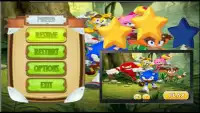 Subway-Sonic:The super hedgehog adventure Screen Shot 0