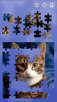 Jigsaw Puzzles Cats Screen Shot 3