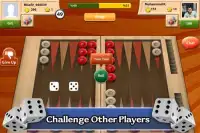 Maxi Backgammon Screen Shot 1