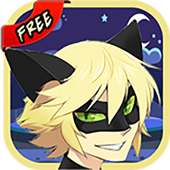 😼 Cat Noir Hero