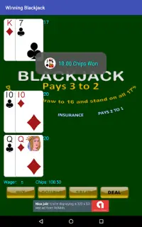 Winning Blackjack Screen Shot 15