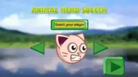 Animal Head Soccer Screen Shot 0