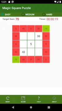 Magic Square Puzzle - A Number Game for Everyone! Screen Shot 1