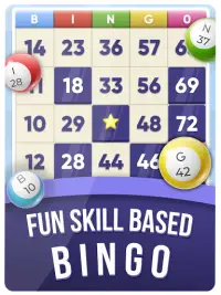 Bingo Go - Daub from home Screen Shot 5