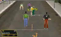Street Cricket Screen Shot 2