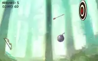 Master of Archery games - flechas y arco Screen Shot 3