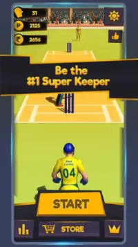 Super Keeper Cricket Challenge Screen Shot 1