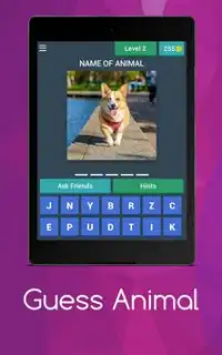 Animals Quiz Screen Shot 16