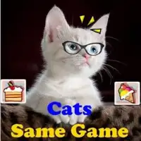 The Same Game Cute Cats Screen Shot 0