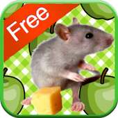 Mouse Games for Kids - Free