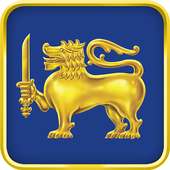 Srilanka Cricket Champions