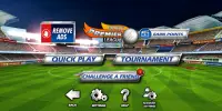 World Cricket Championship Lt Screen Shot 6