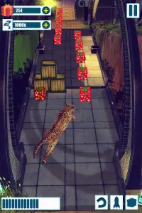 Leopard Survival:Endless Cheetah rush Animal Game Screen Shot 6