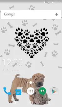 Cute Puppies Wallpaper Theme Screen Shot 5