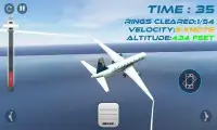 Passenger Airplane Flight Sim Screen Shot 0