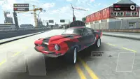 Car Simulator 3D Screen Shot 0