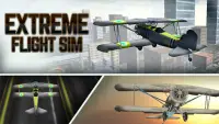 Extreme Flight Sim Screen Shot 0