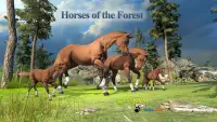 Horses of the Forest Screen Shot 0