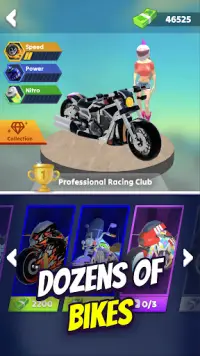 Wild Wheels: Bike Racing Screen Shot 3