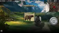 Bear Hunter Real Training Screen Shot 2