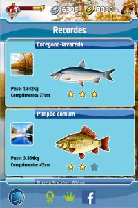 Pesca de Bolso Screen Shot 8