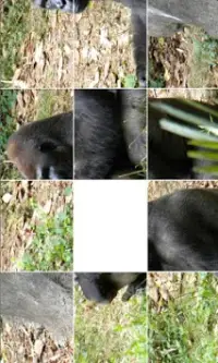 Animal Puzzle Screen Shot 1