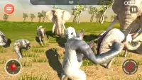 Leopard Game 3D - Симулятор для животных Safari Screen Shot 4
