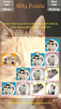 Kitty Puzzle : Cute Pets Party Screen Shot 0