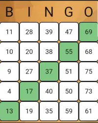 Play Bingo Screen Shot 7