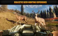 Wild Deer Shooting Animal Hunting Adventure 2020 Screen Shot 0