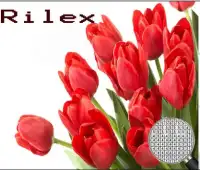 Tulip Flower Pixel Art-Flowers Coloring By Number Screen Shot 1