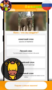 Зоопарк Викторина (русский) Screen Shot 4