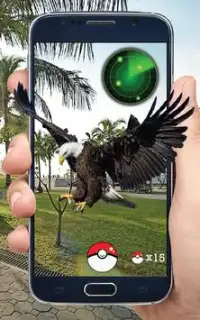 Las aves de bolsillo GO! Screen Shot 2