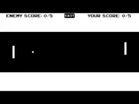 Pong Quest Screen Shot 14