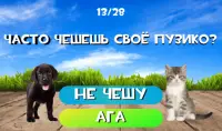 Тест какой ты котик или пёсик. Твой питомец Screen Shot 7