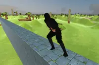 Ninja Run 3D Screen Shot 2