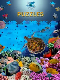 Natur Puzzle Ozean Spiele Screen Shot 2