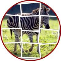 Zebra Puzzle