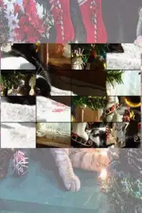 Christmas Cats Puzzle Screen Shot 0