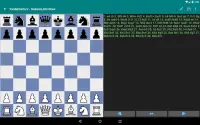 Perfect Chess Database Demo Screen Shot 16